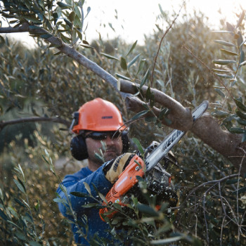 MOTOSIERRA ECHO CS 2511 TESC /25 0.050"