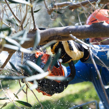 MOTOSIERRA ECHO CS 2511 TESC /25 0.043"